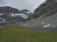 CH, Wallis, Leukerbad, Lammerenhuette 1, Saxifraga-Willem van Kruijsbergen